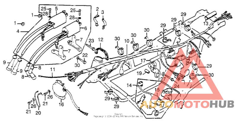 Wire harness + ignition coil