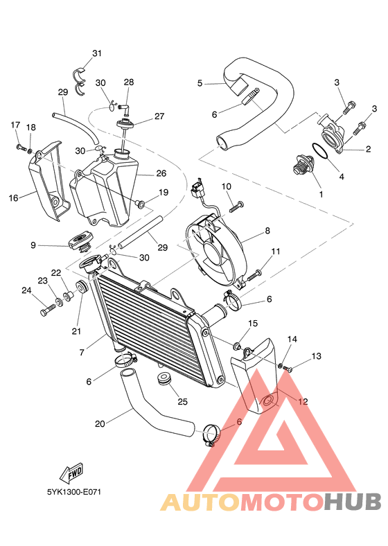 Radiator & hose