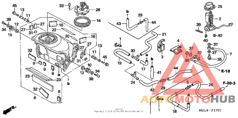 Fuel tank + fuel pump (2)