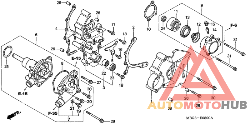L. cover/water pump