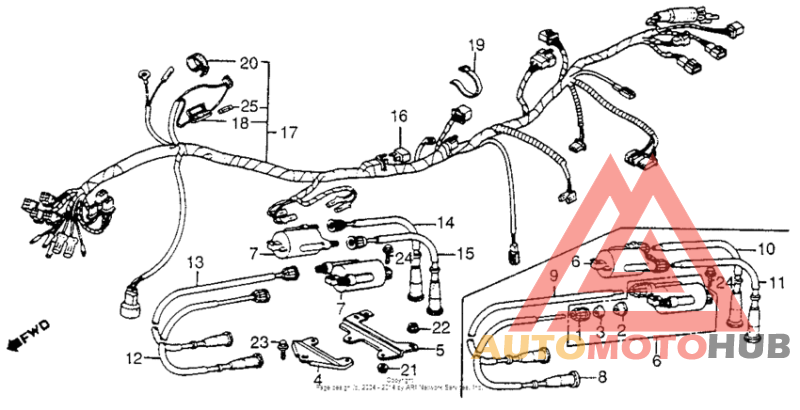 Wire harness + ignition coil