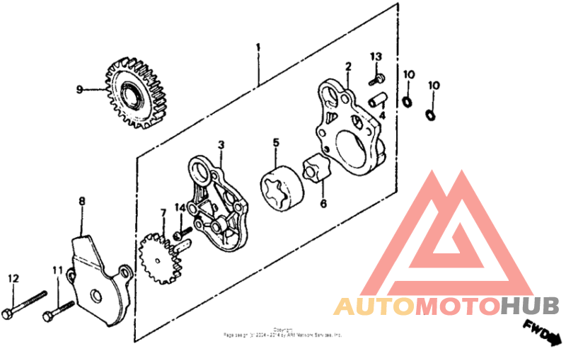 Oil pump 81-82