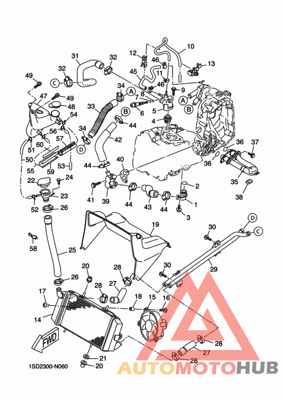 Radiator & hose