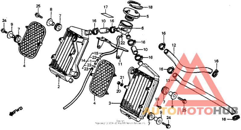 Radiator 81