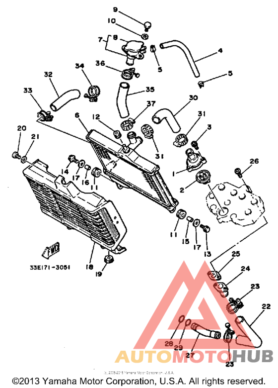 Radiator - hose