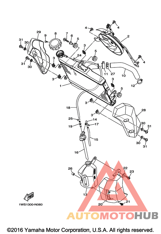Радиатор и Патрубки