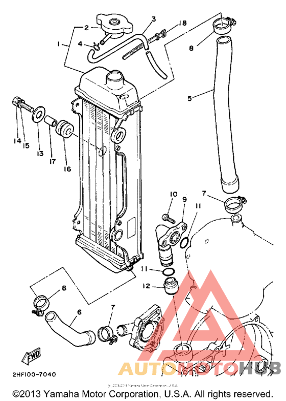 Radiator - hose