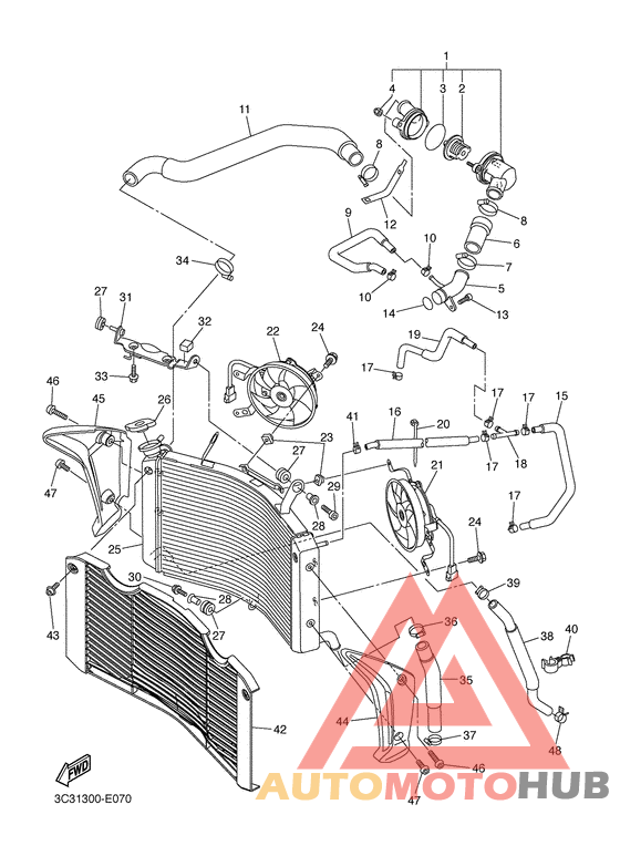 Radiator & hose