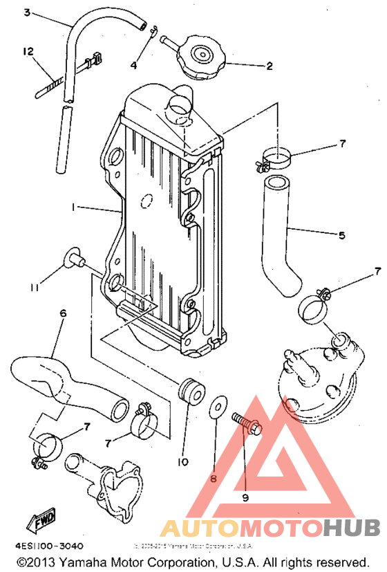 Radiator - hose