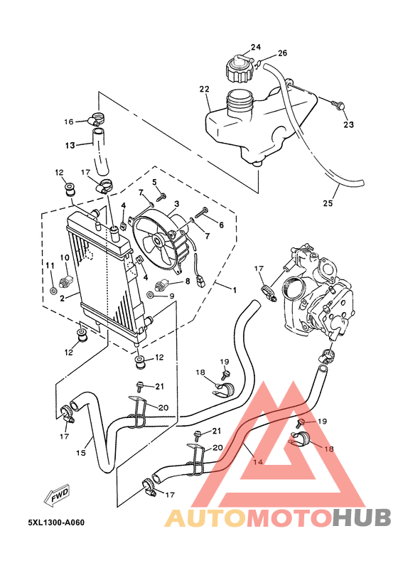 Radiator & hose