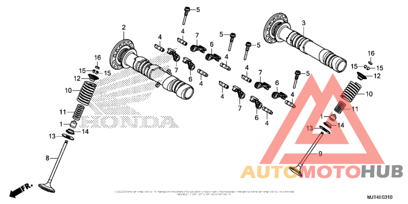 Camshaft + Valve (Rr.)