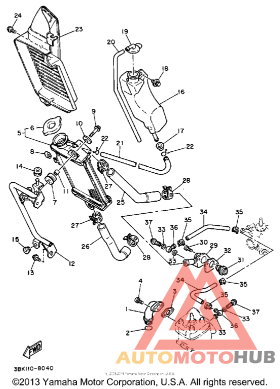 Radiator - hose
