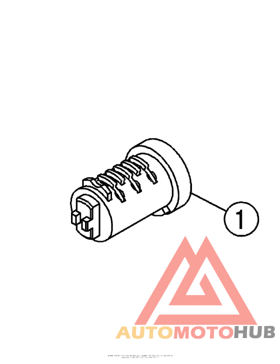 Rotor Kit (Lock)         )