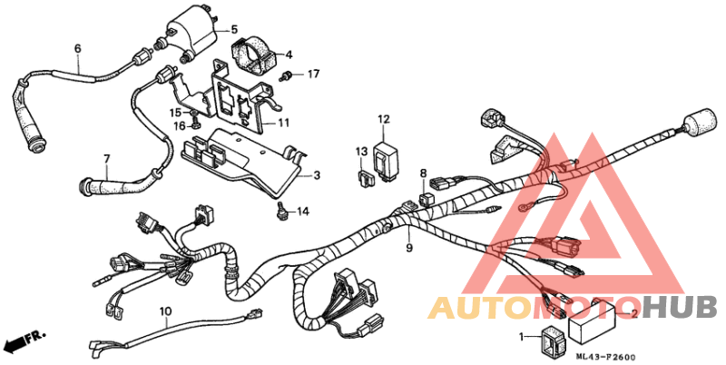 Wire harness/ ignition coil