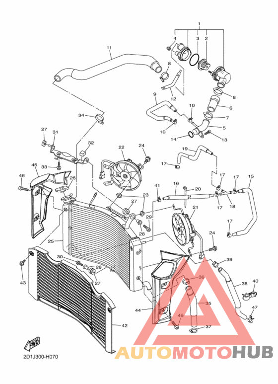 Радиатор и шланг