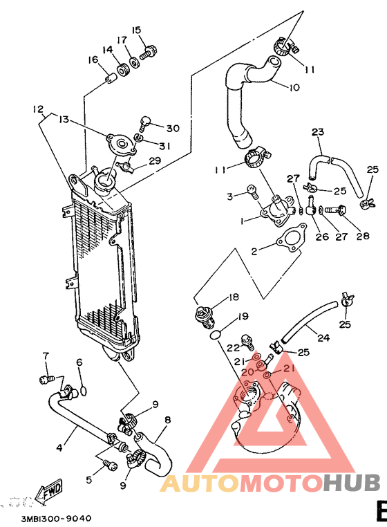Radiator. hose