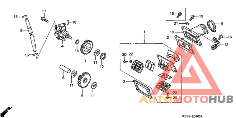Oil pump/reed valve