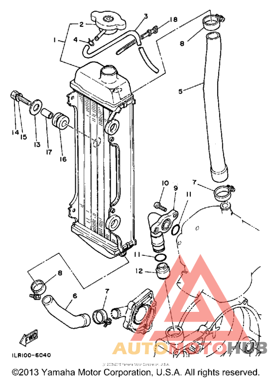 Radiator - hose