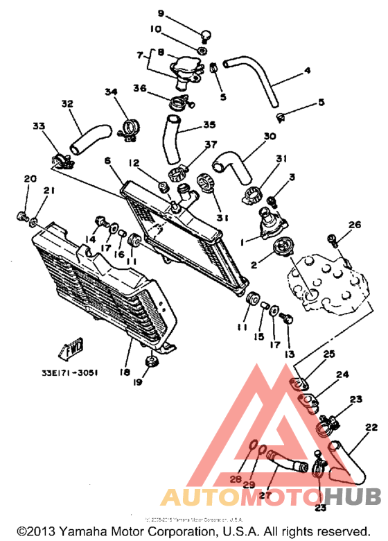 Radiator - hose