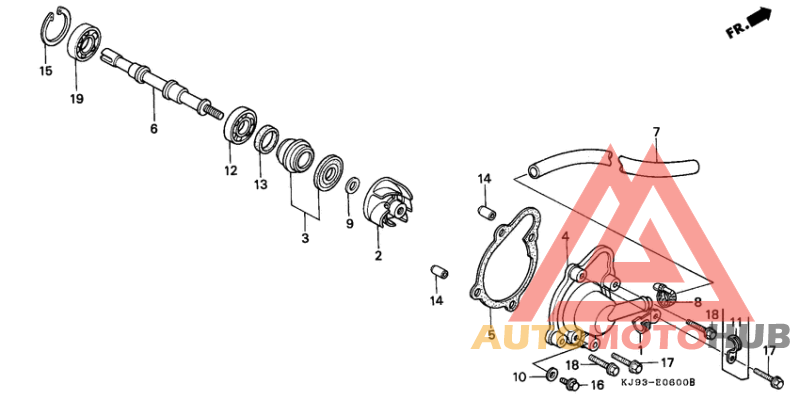 Водяная помпа