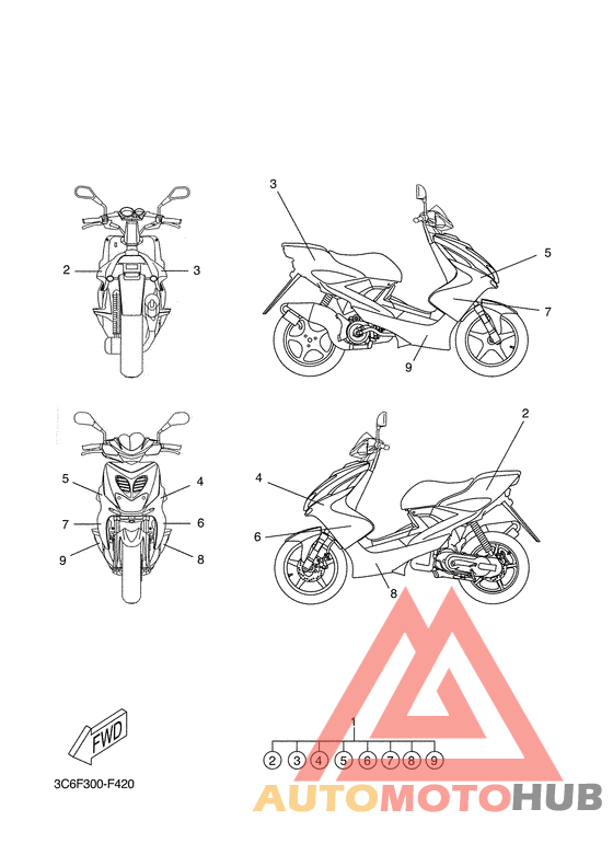 Graphic & emblem