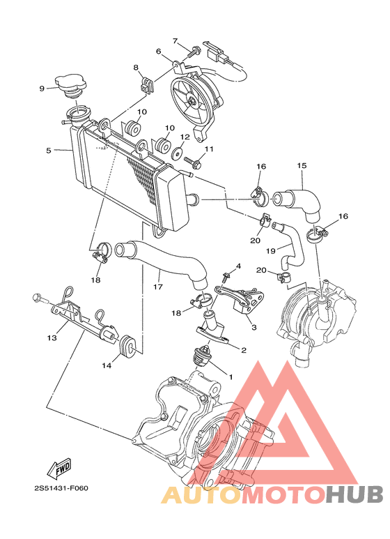 Radiator & hose