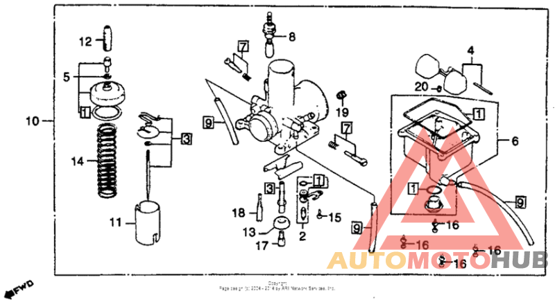 Carburetor + optional parts
