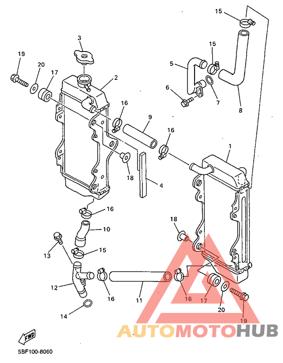 Radiator. hose