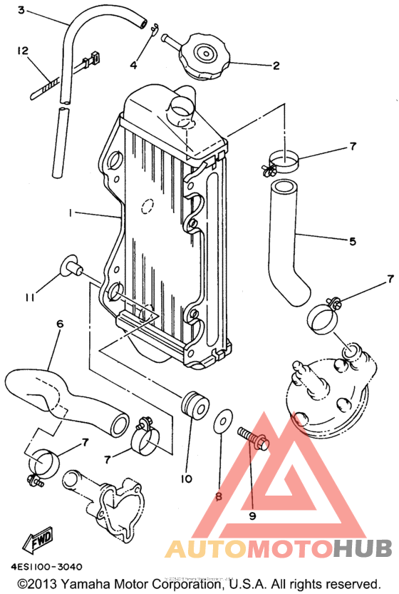 Radiator - hose