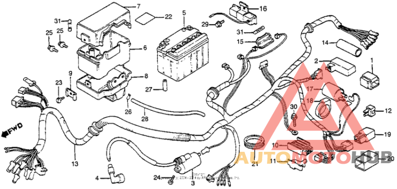 Wire harness + battery