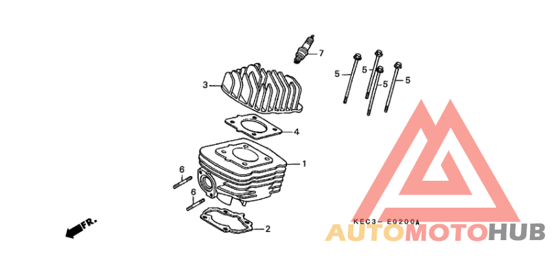 Cylinder/cylinder head