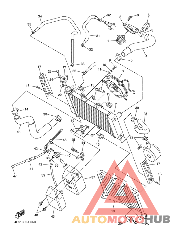 Radiator & hose