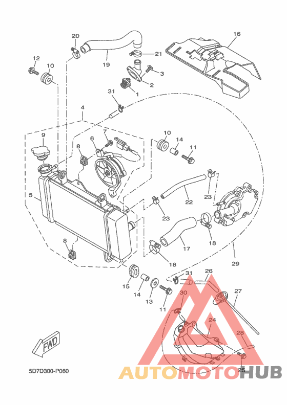 Radiator & hose