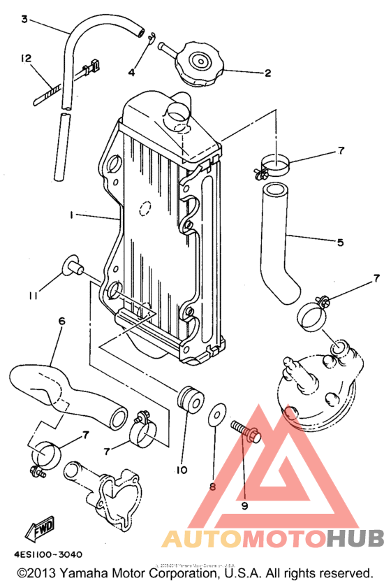 Radiator - hose