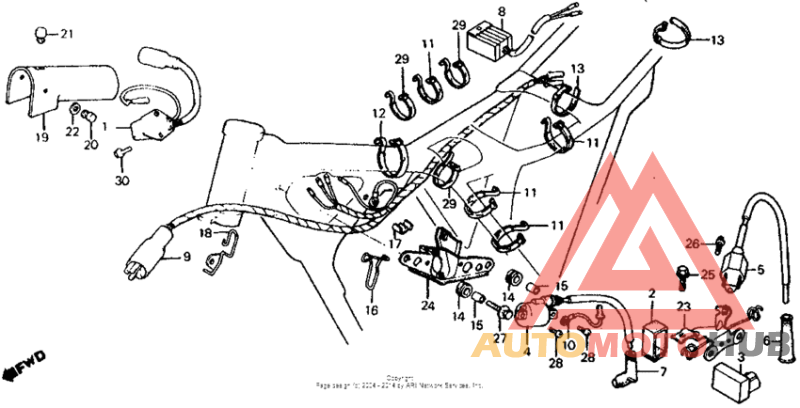Wire harness + c.d.i. unit + ignition coil