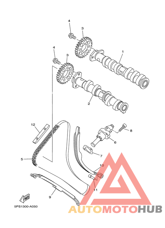 Camshaft. chain