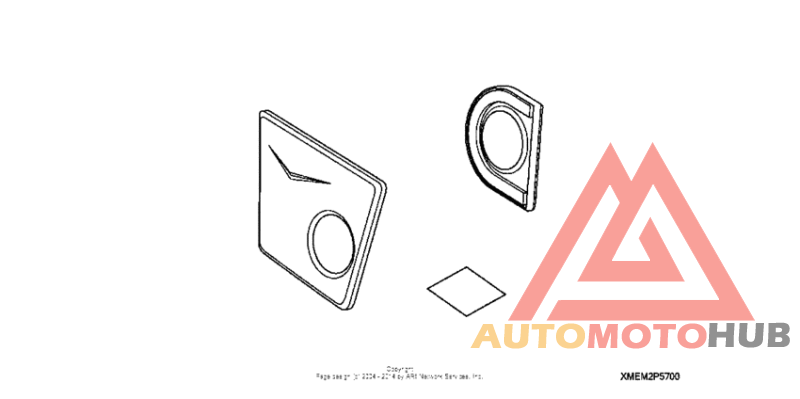 Chrome billet swingarm pivot cover set (v)