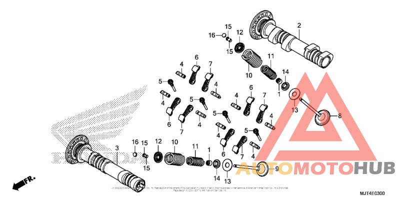 Camshaft + Valve (Fr.)