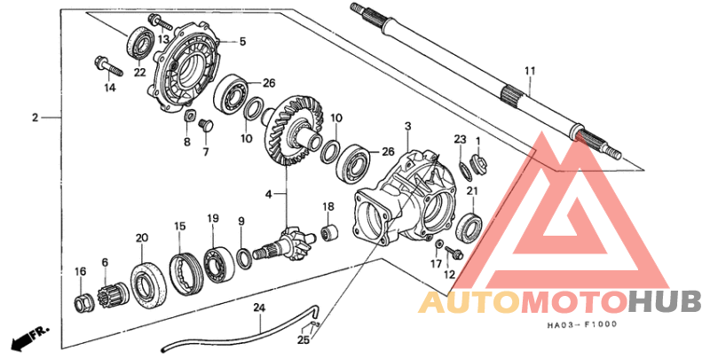 Final driven gear/ rear axle shaft