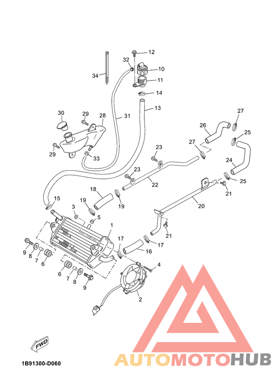 Radiator & hose