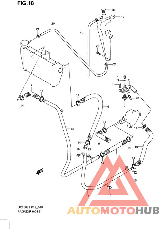 Радиатор hose