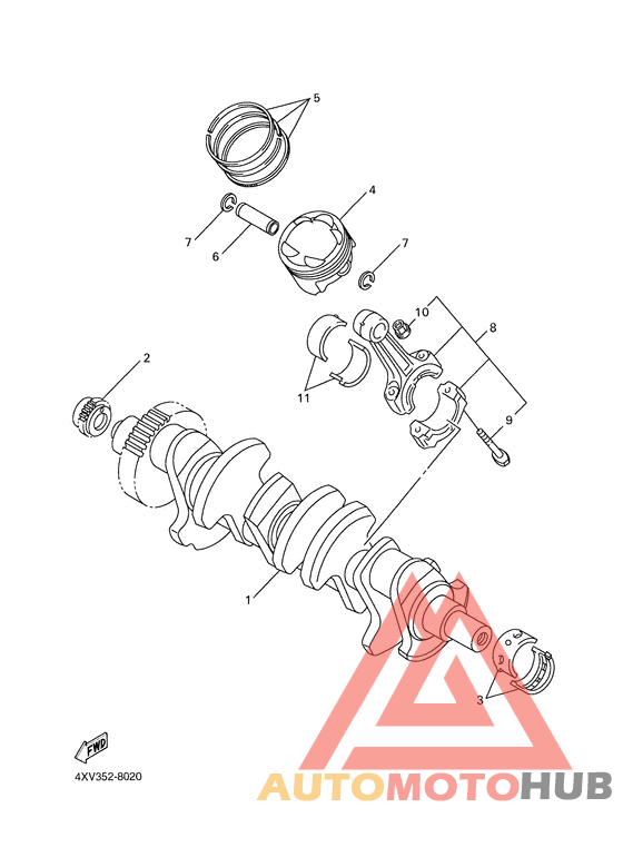 Ciguenal & piston