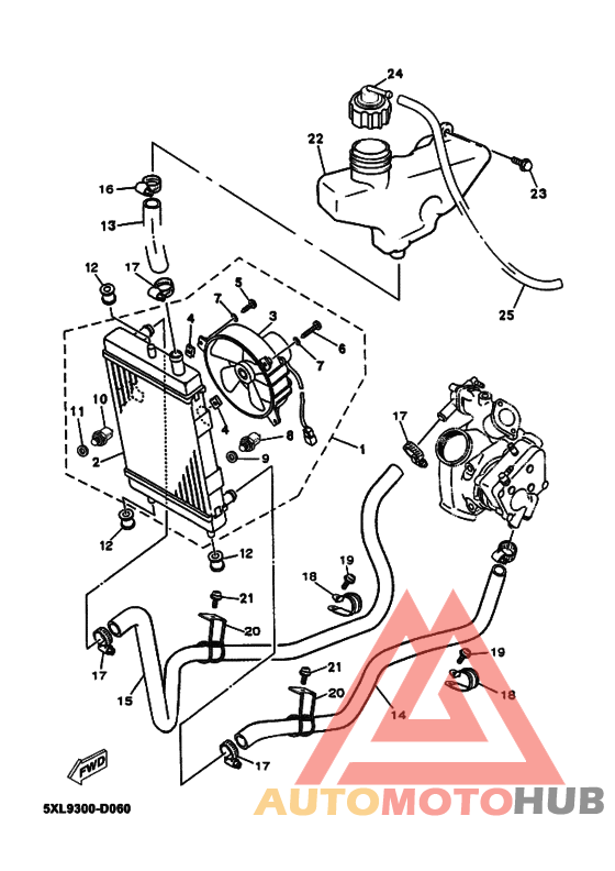 Радиатор и шланг