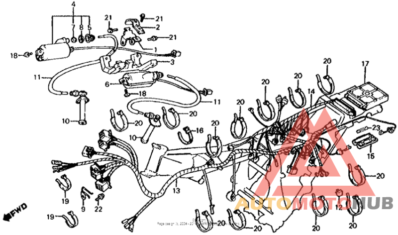 Wire harness + ignition coil