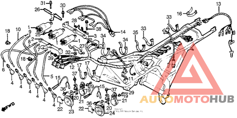 Жгут проводов