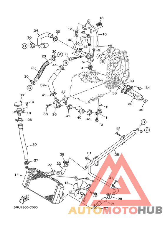 Radiator & hose