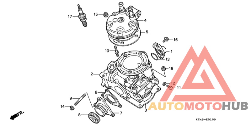 Cylinder/cylinder head