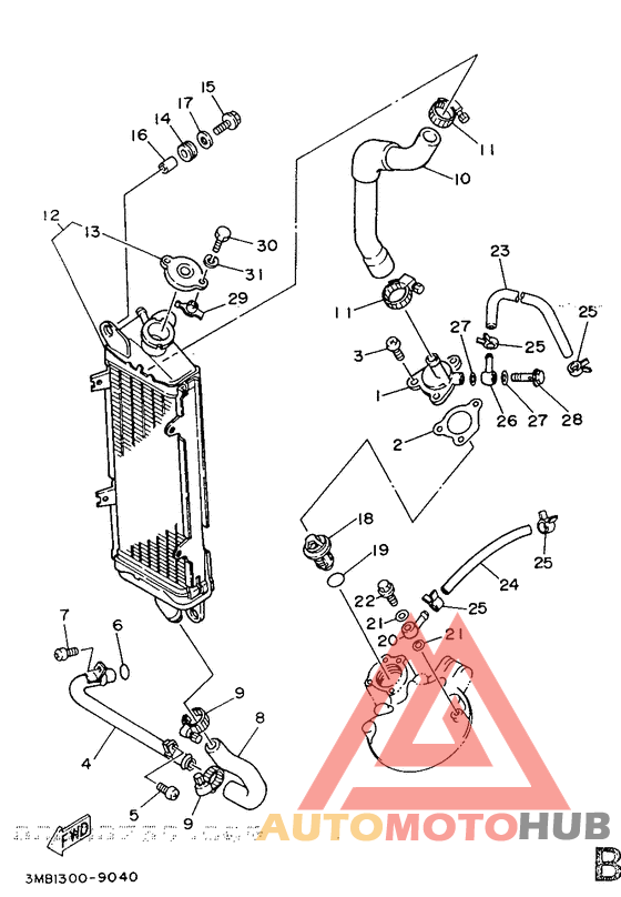 Radiator. hose