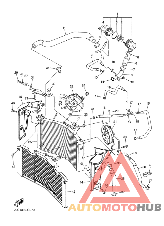 Radiator & hose