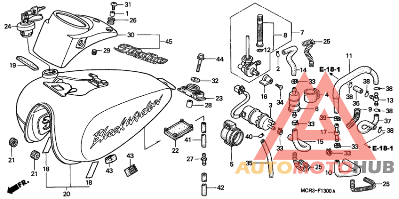 Fuel tank/fuel pump